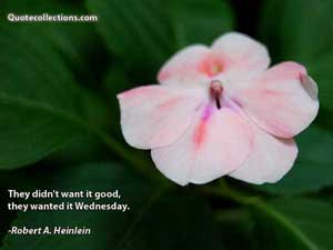 robert_a_heinlein_quotes Quotes 1